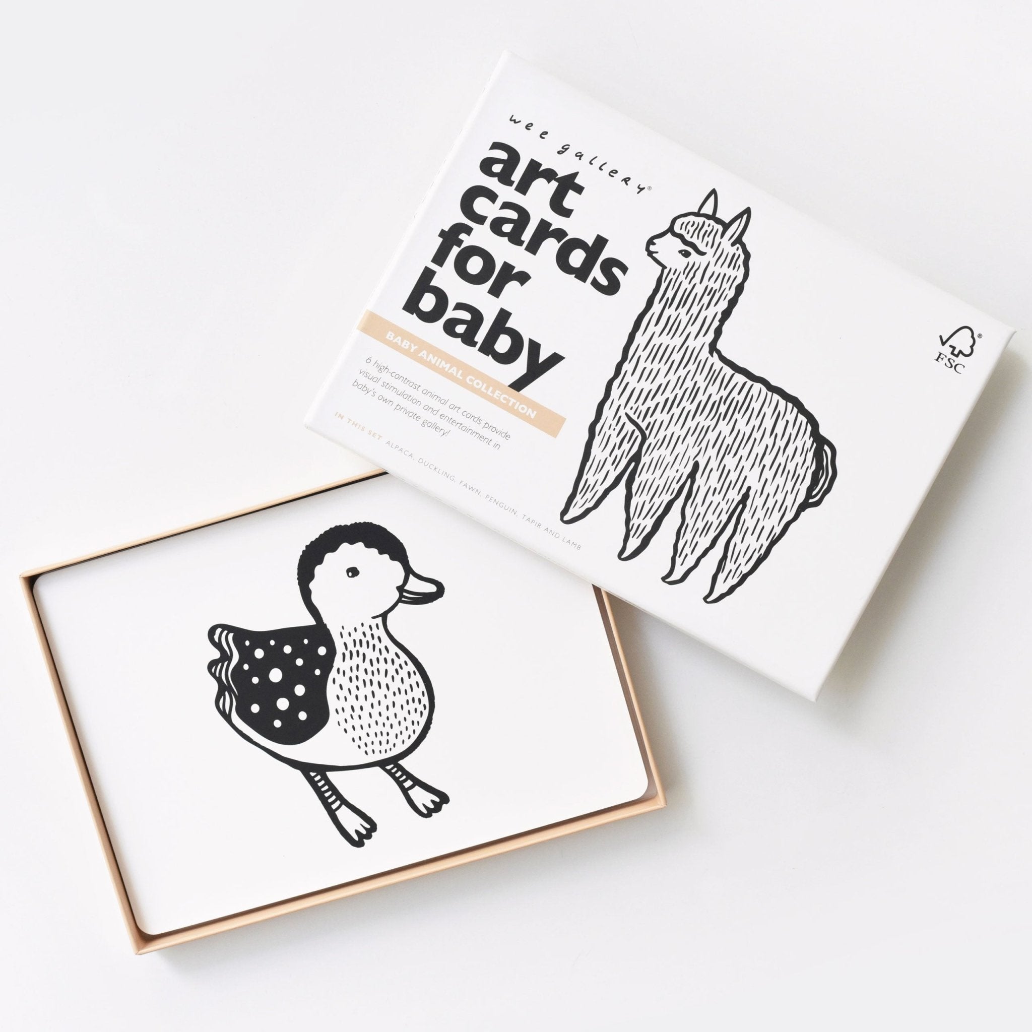 Art Cards For Baby - Baby Animals Collection