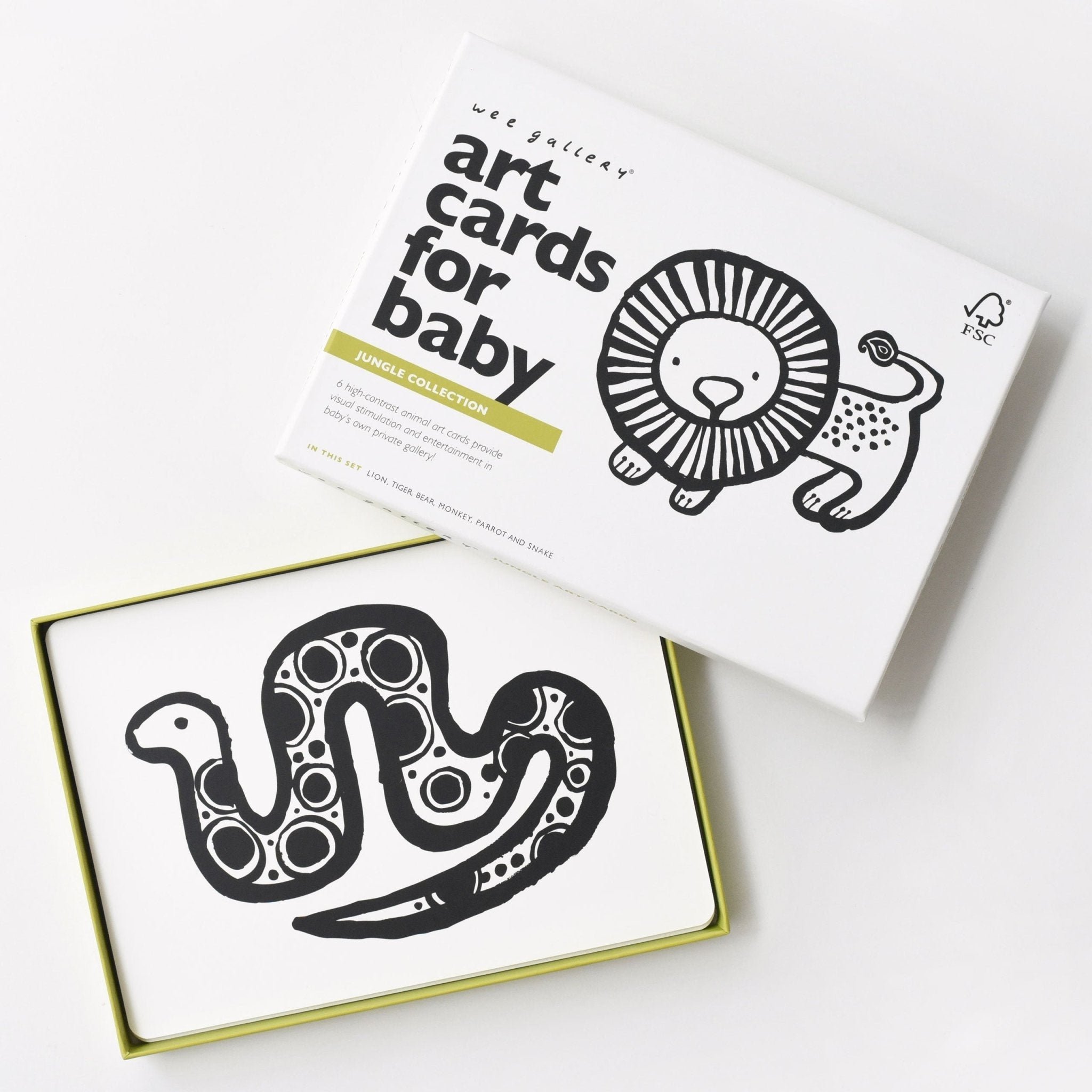 Art Cards For Baby - Jungle Collection