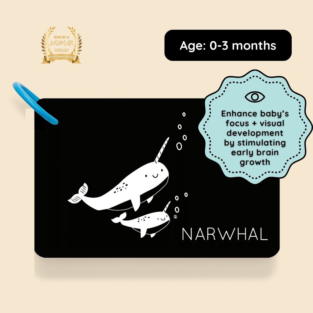 High-contrast Vision Development Cards