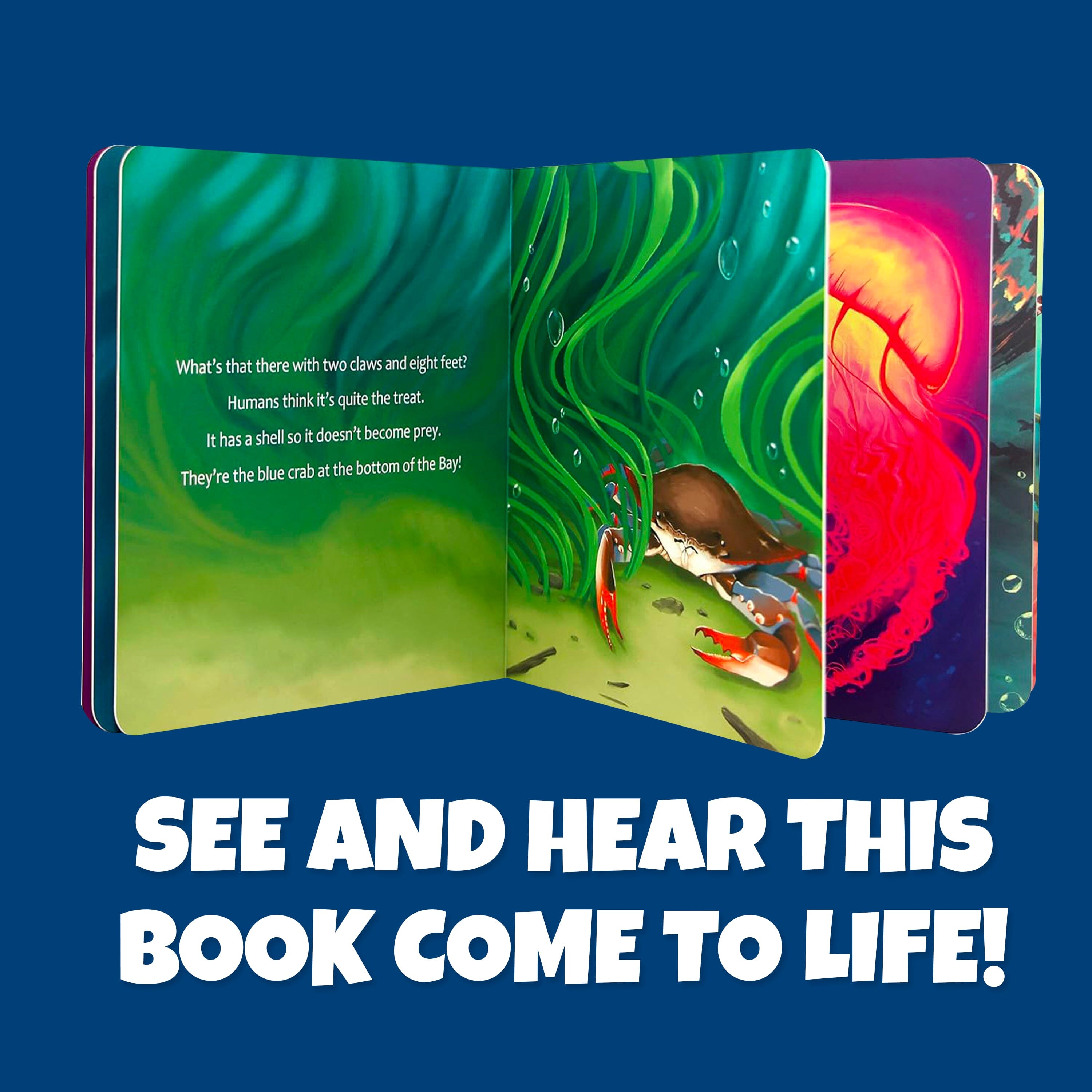 Holotoyz - Sea Creatures Ar Book