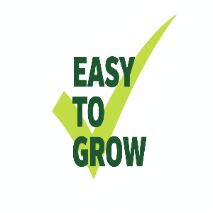 Beans | Plant Seed Starter Grow Kit |