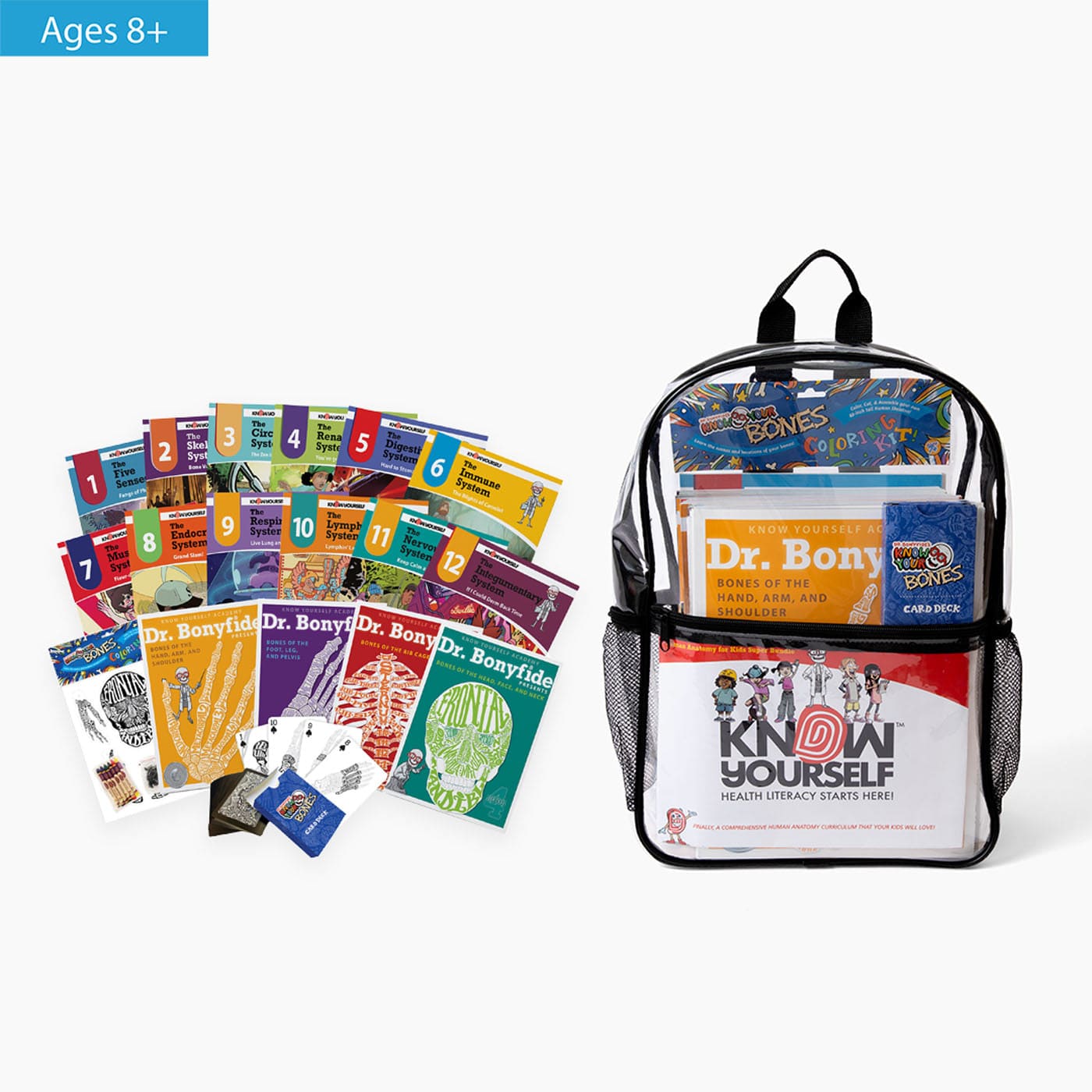 Human Anatomy For Kids Super Bundle