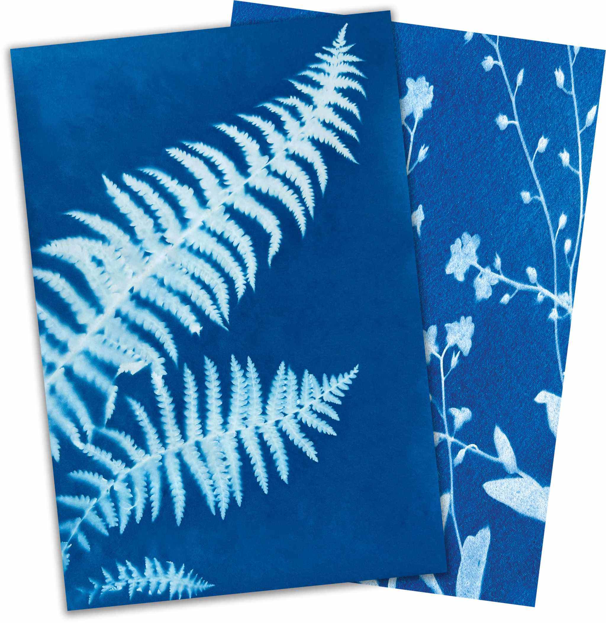 Sun Snap Photo Paper: Sunshine & Creativity - 5.8x8.3”