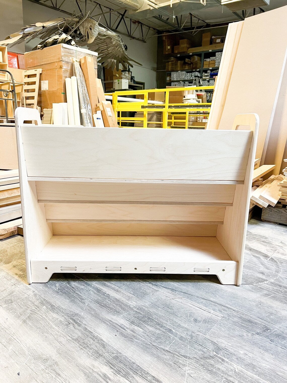 Mia- Bookshelf With Hidden Storage