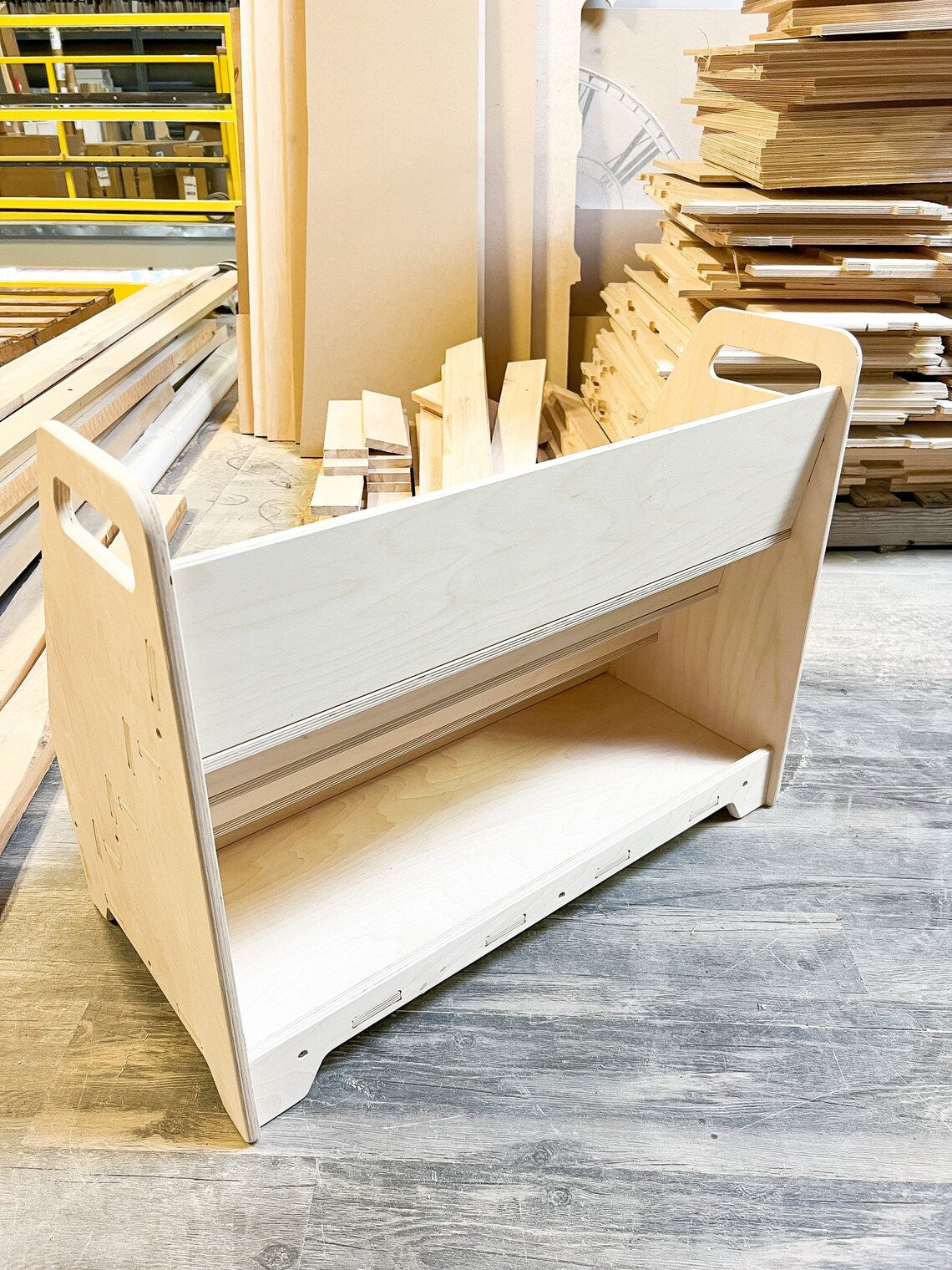 Mia- Bookshelf With Hidden Storage