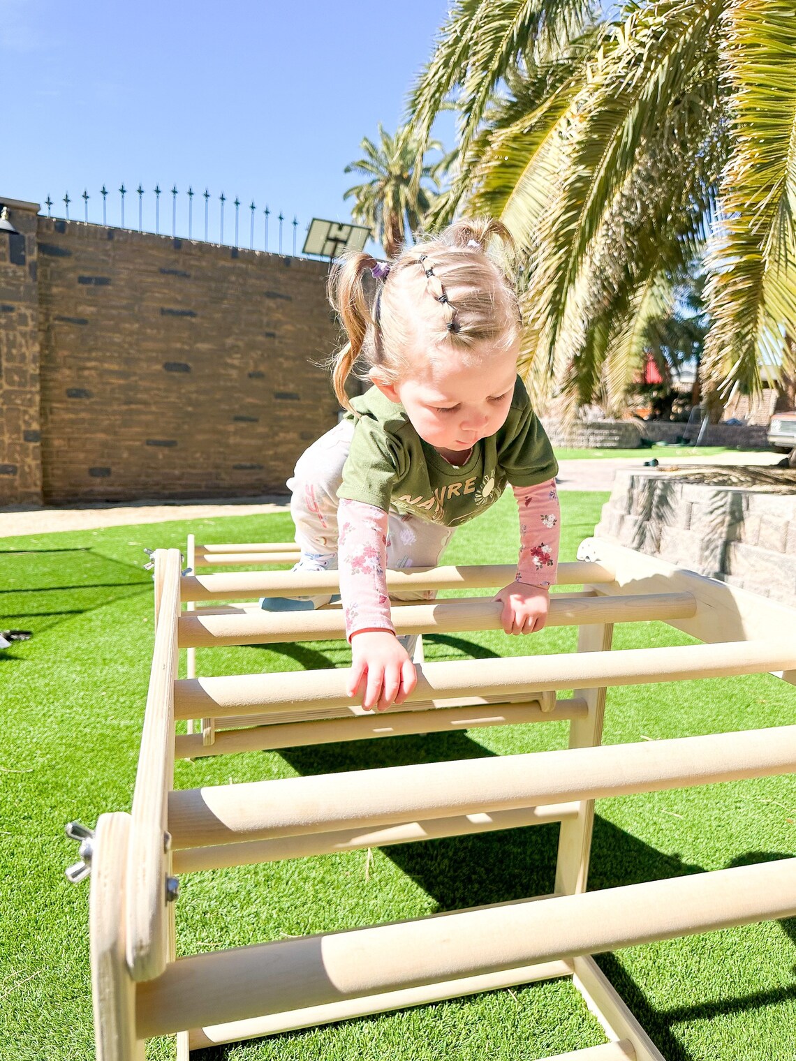 Bowie- Outdoor Gym