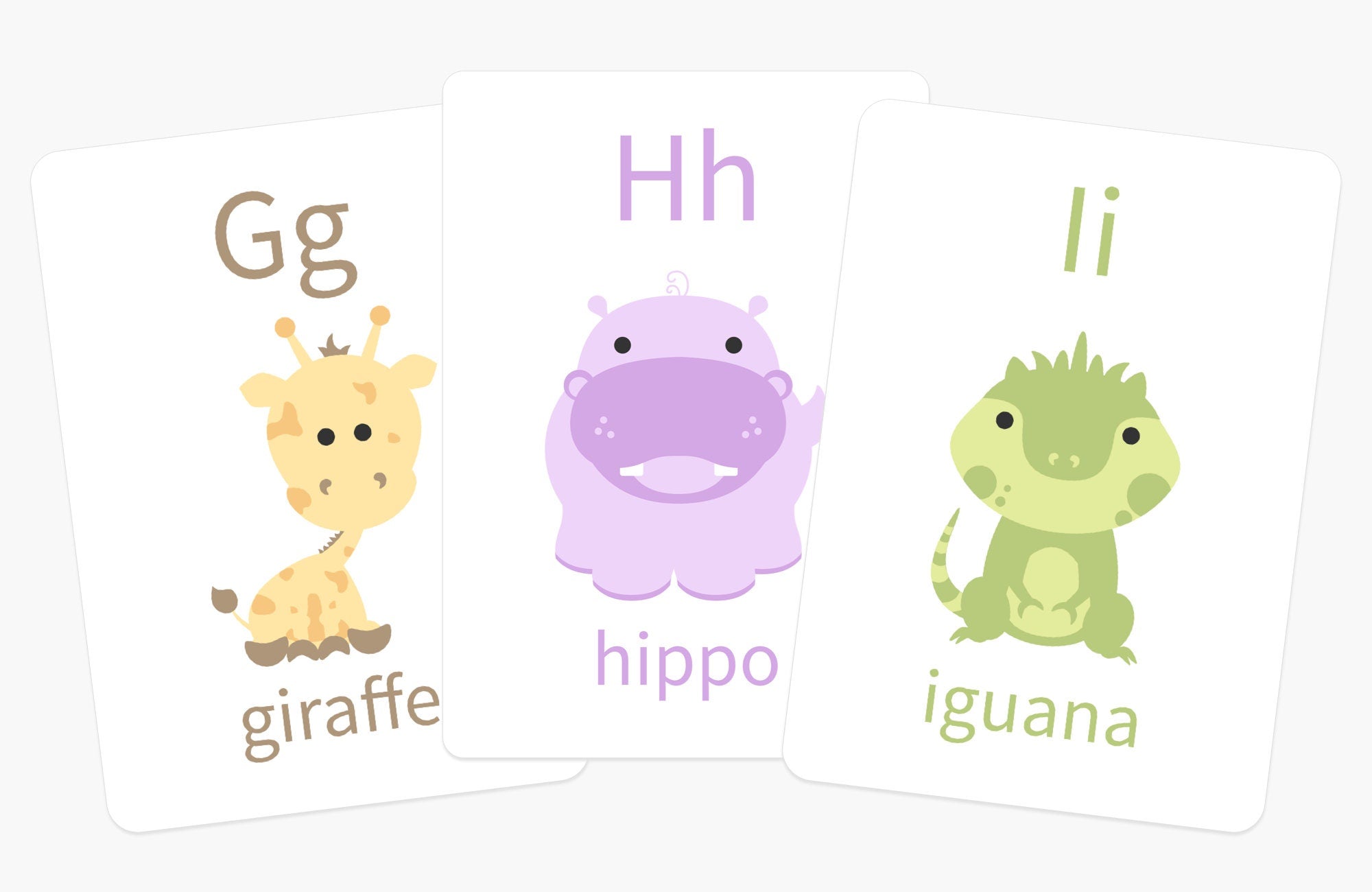 Montessori Flashcards Basics Bundle