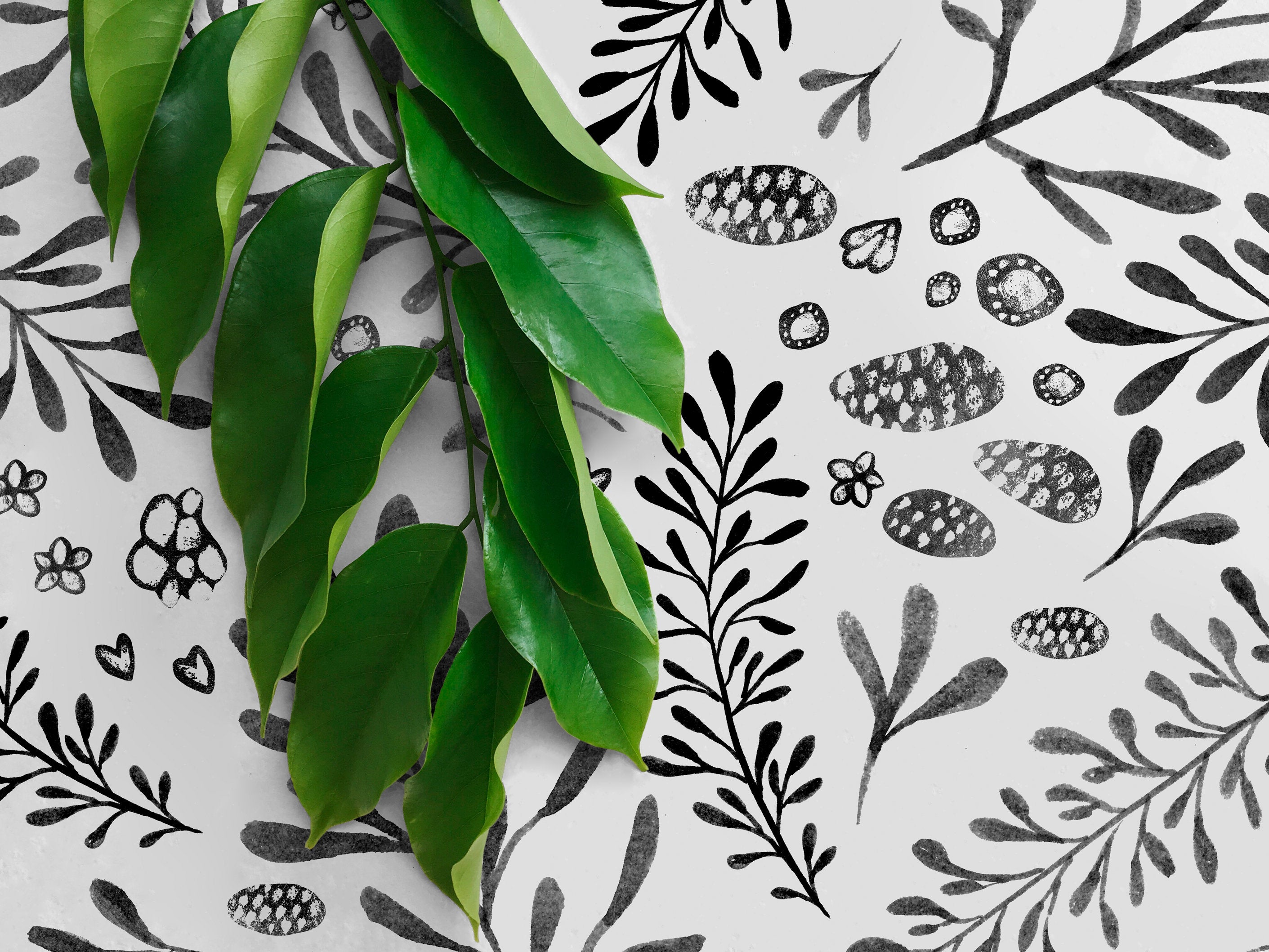 Botanical Wallpaper With Hand-drawn Florals And Leaves In Black And Gray - X002