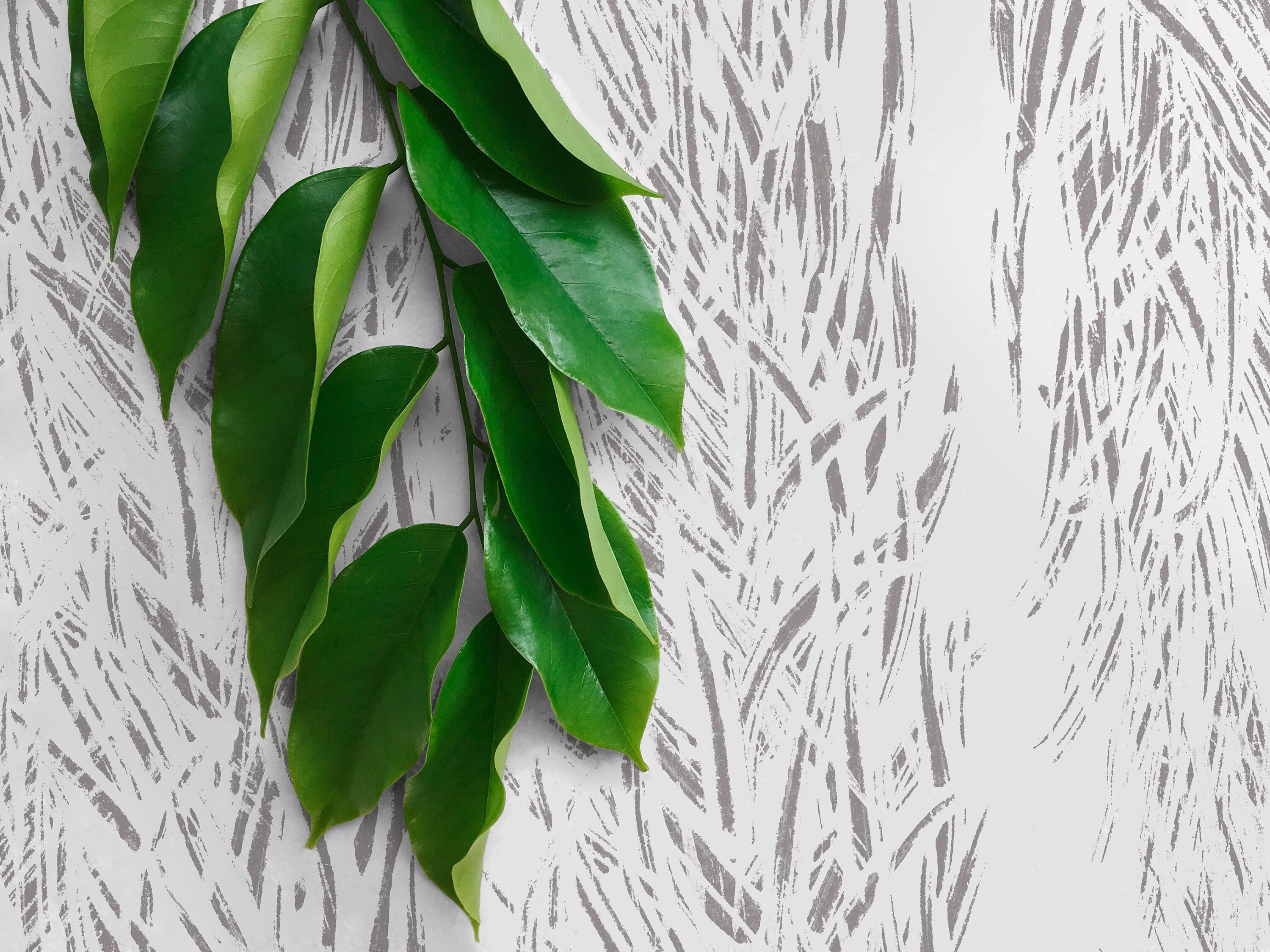 Abstract Wallpaper With A Sketched Grass Motif In Gray - X069