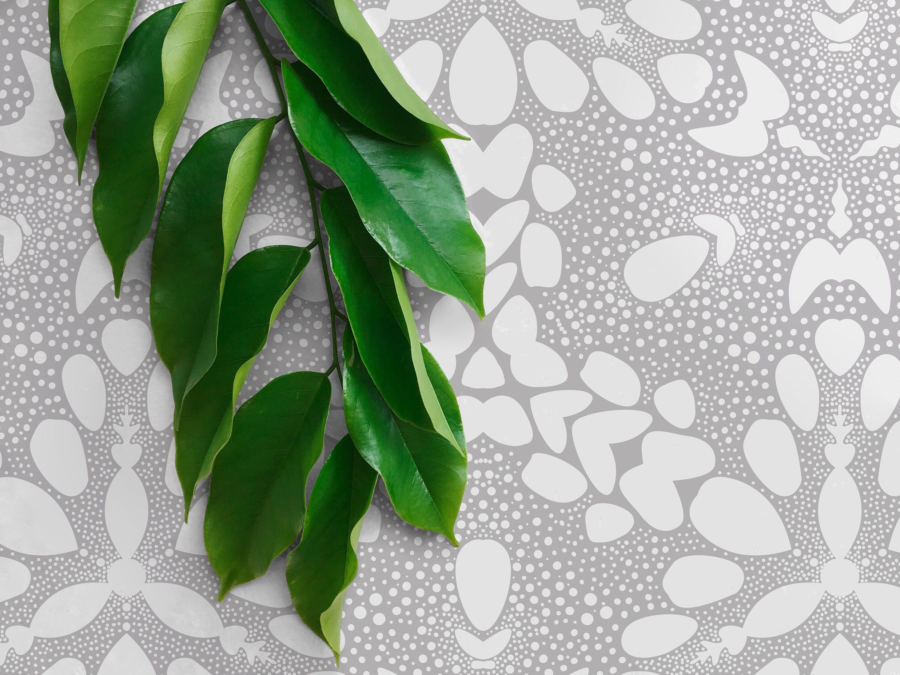 Abstract Wallpaper With A Dotted Kaleidoscopic Motif In Light Gray And White - X030