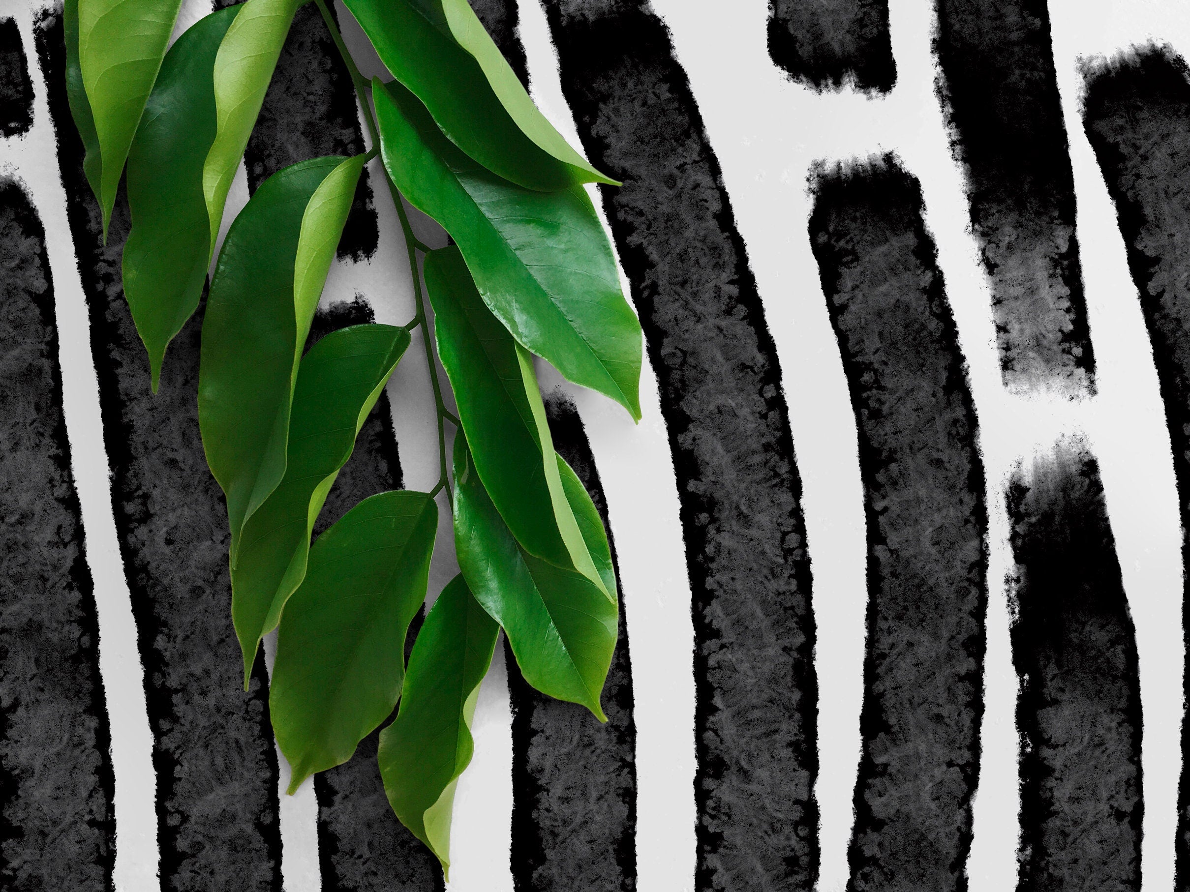 Abstract Wallpaper With Vertical Brushstrokes In Black And White - X102