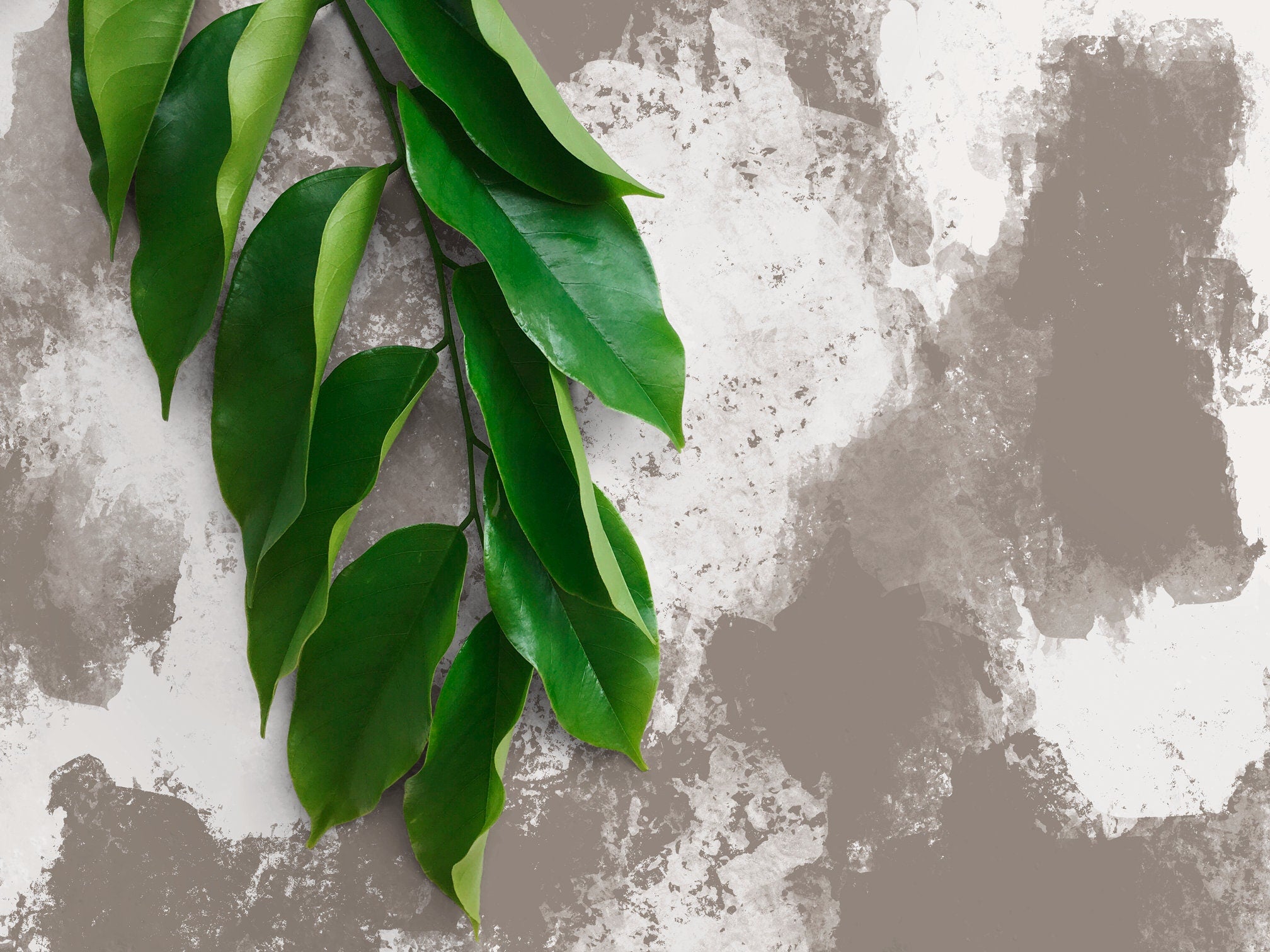 Abstract Wallpaper With A Painterly Effect In Taupe And White - X115