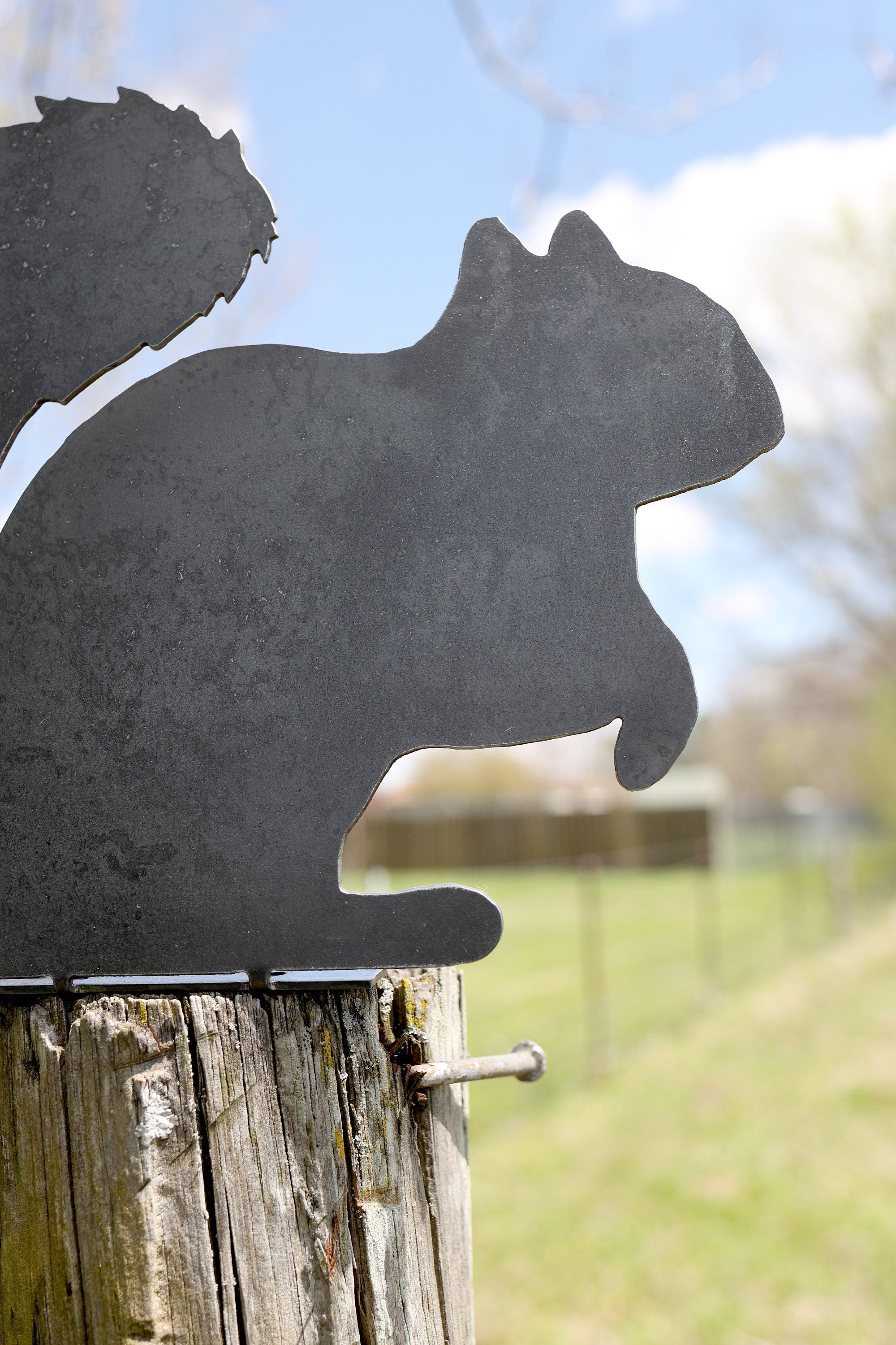 Metal Squirrel Statue