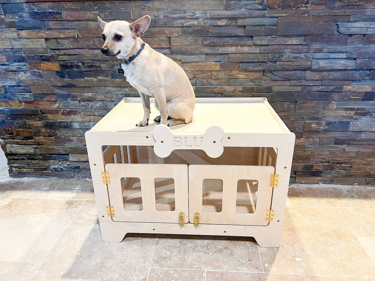 Blu- Modern Dog House