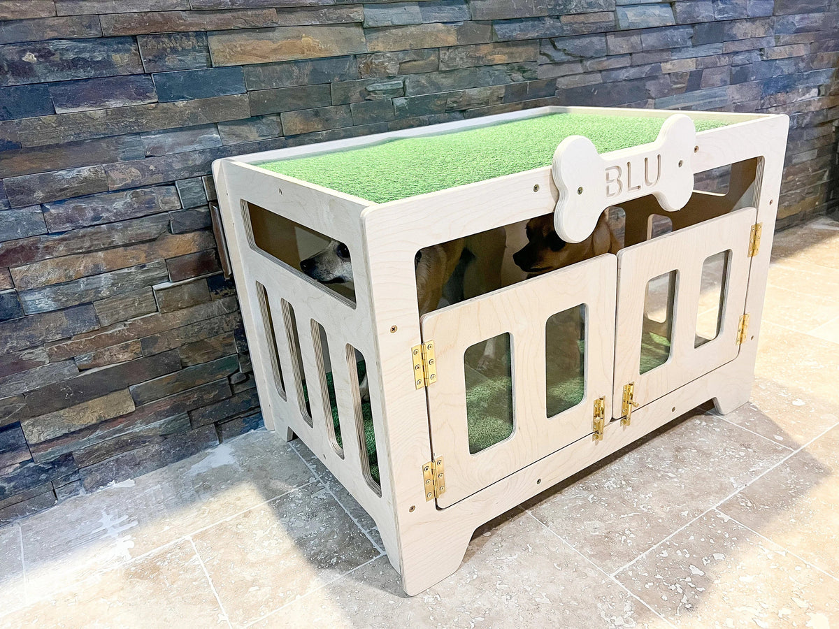Blu- Modern Dog House