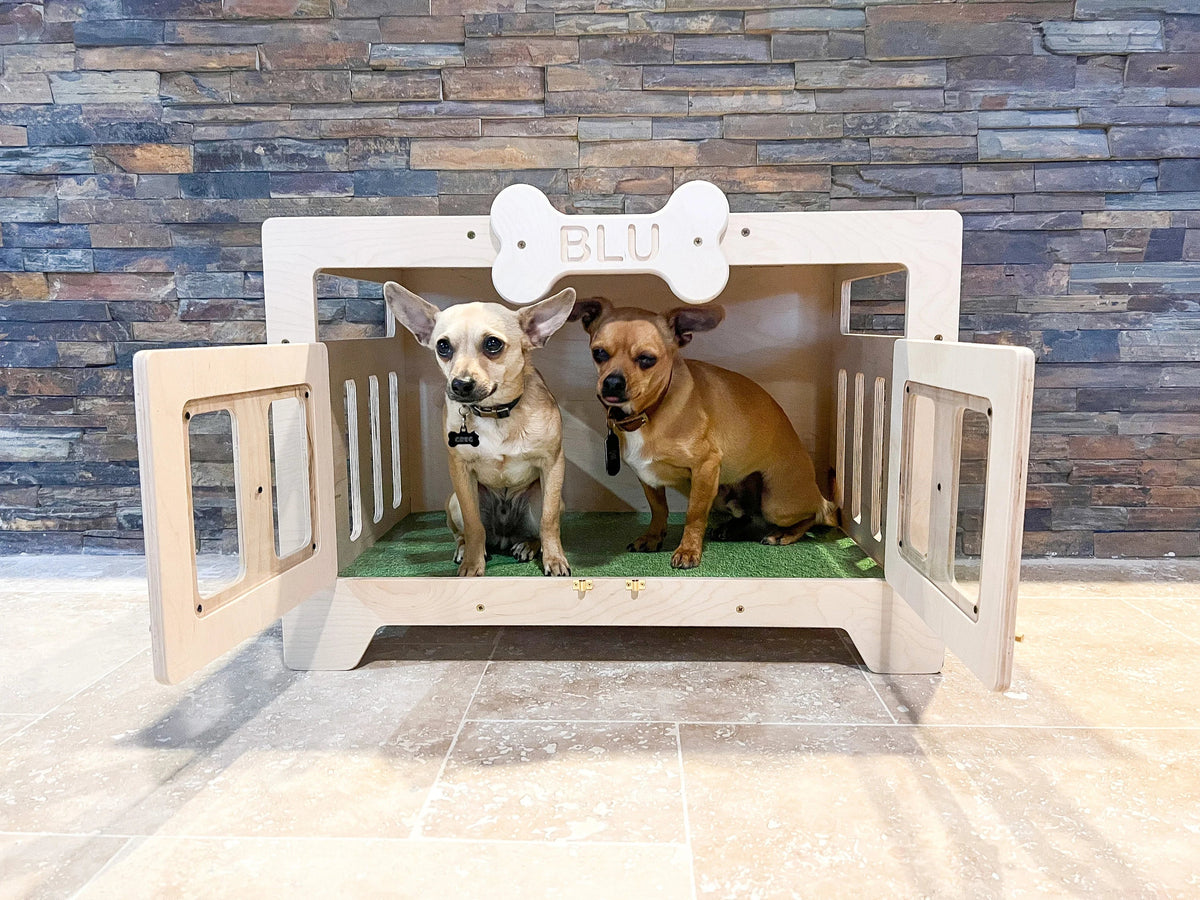 Blu- Modern Dog House