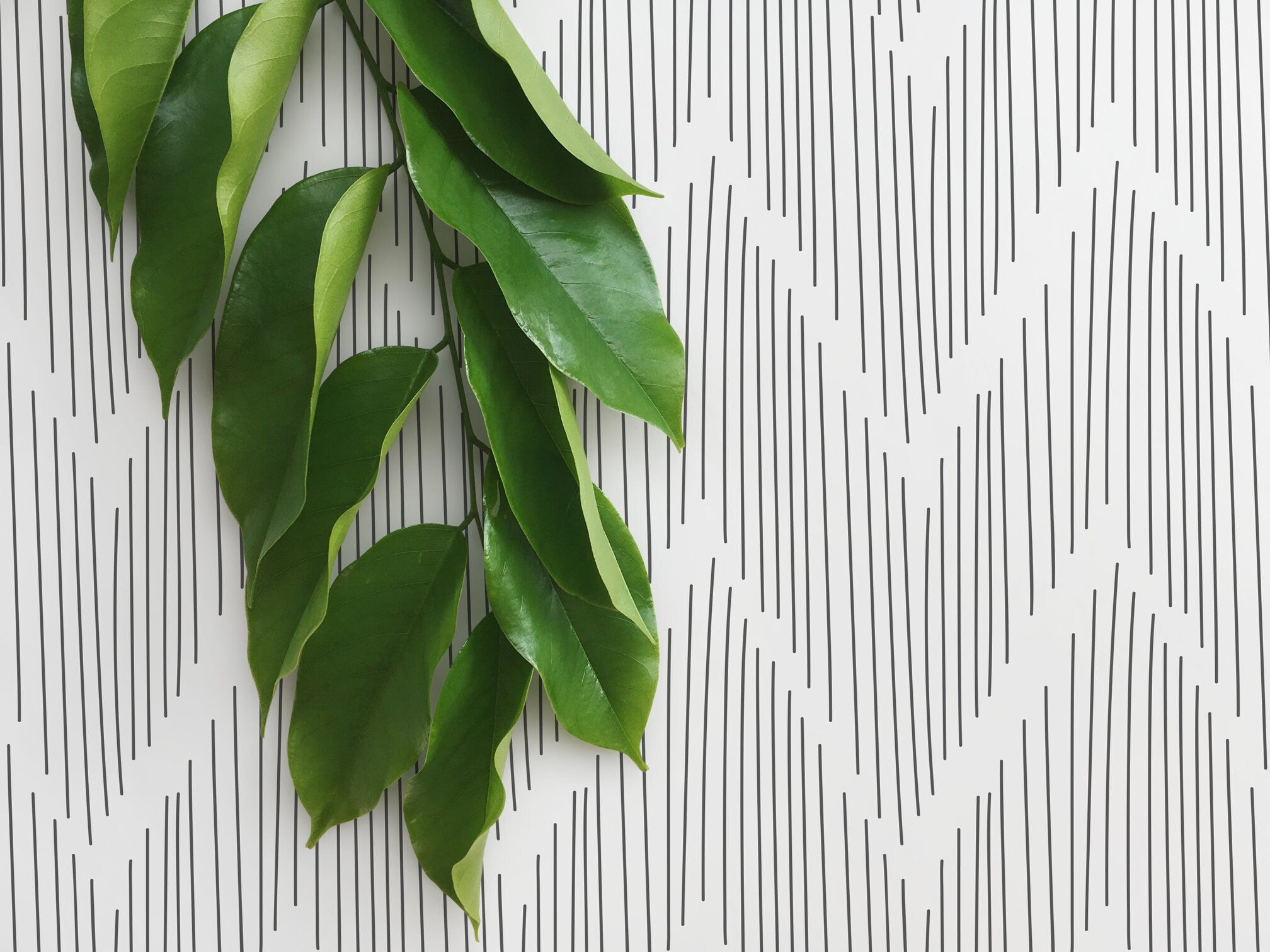 Chevron Wallpaper With A Hand-drawn Line Motif In Black - D001