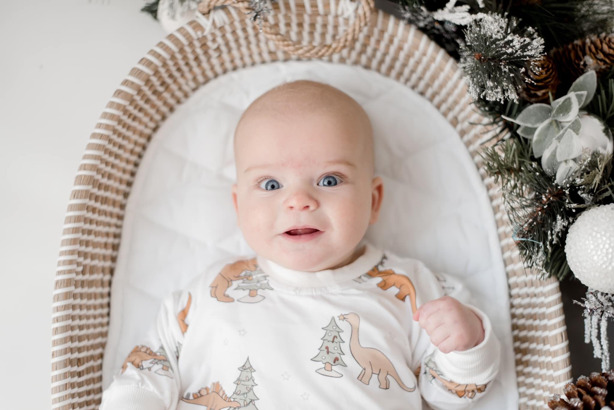 Christmas Tree-rex Bamboo Bubble Romper