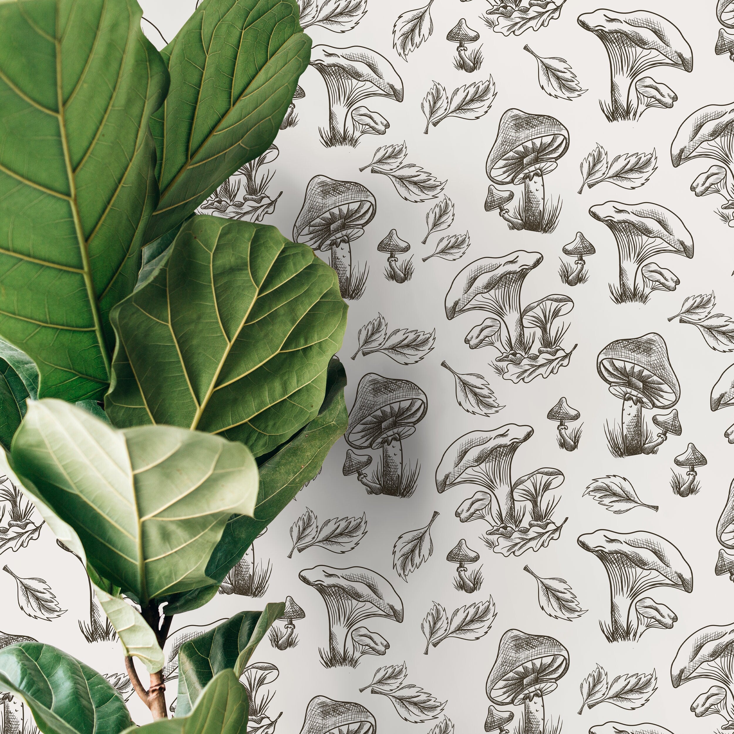 Botanical Wallpaper With Hand-drawn Mushrooms And Leaves In Black And White - D819