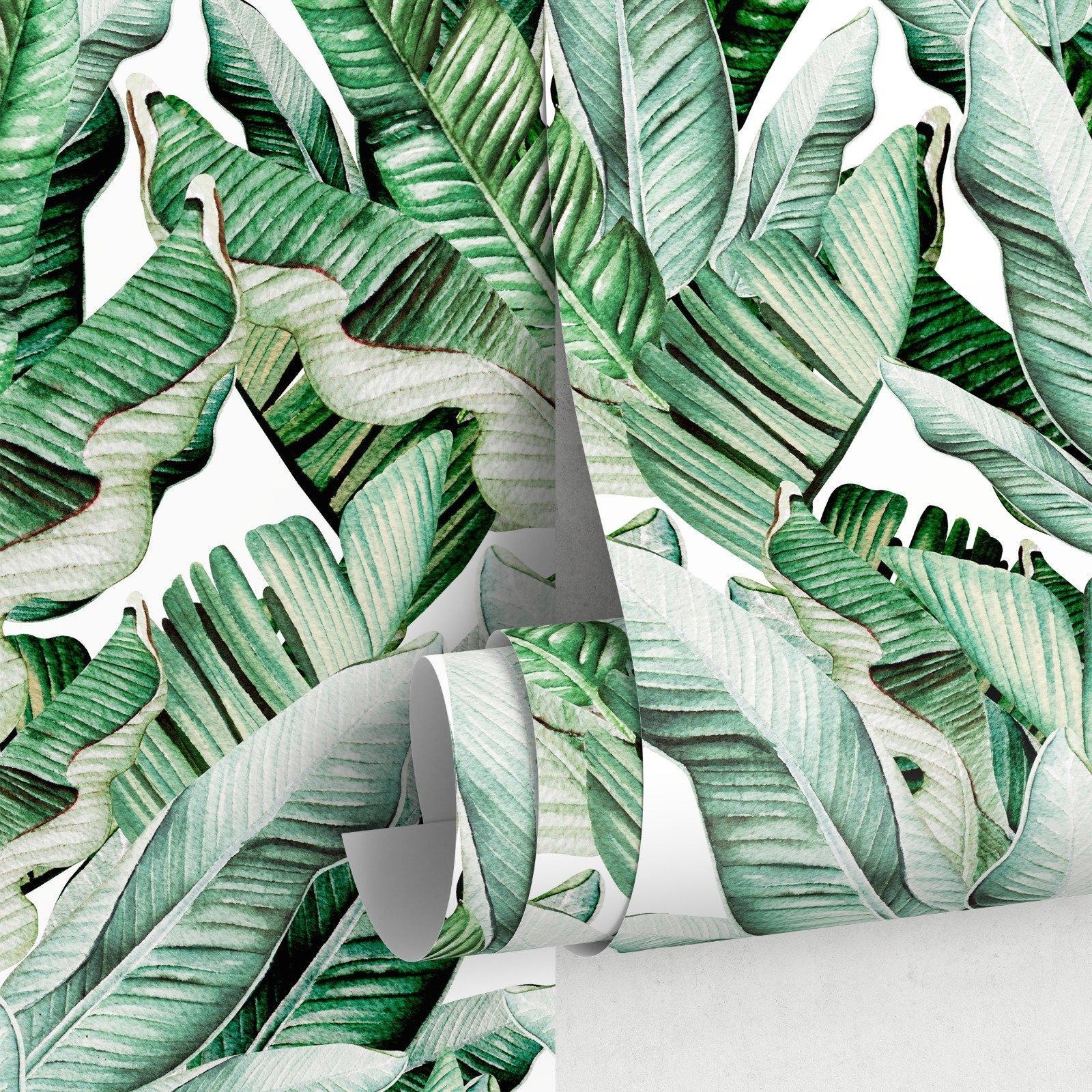 Tropical Wallpaper Featuring Lush Banana Leaves In Green - A527