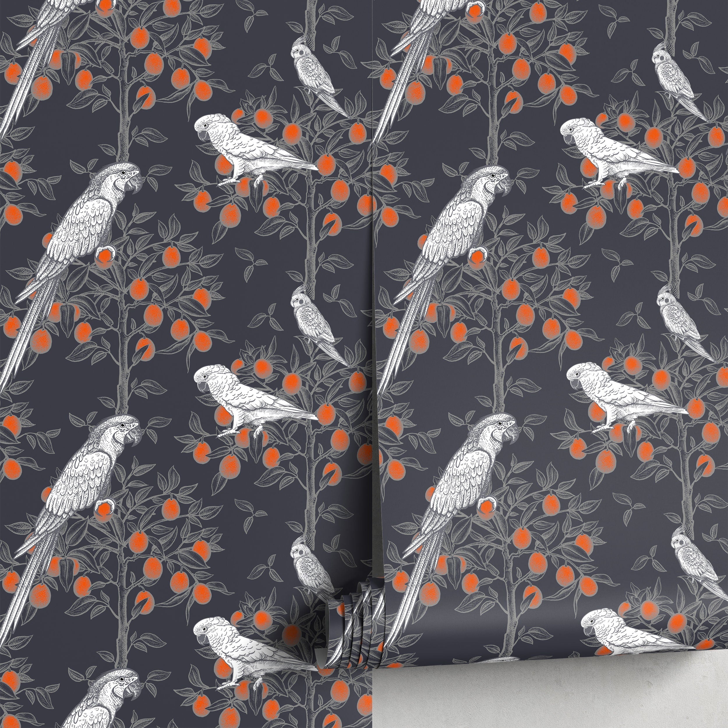 Botanical Wallpaper With Parrots In Orange Trees In Black, Grey, And Orange - A919