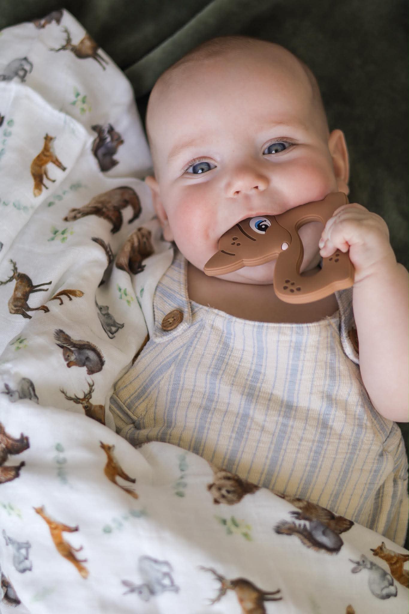 Forest Animals Theme Organic Blanket - Baby Shower Gift