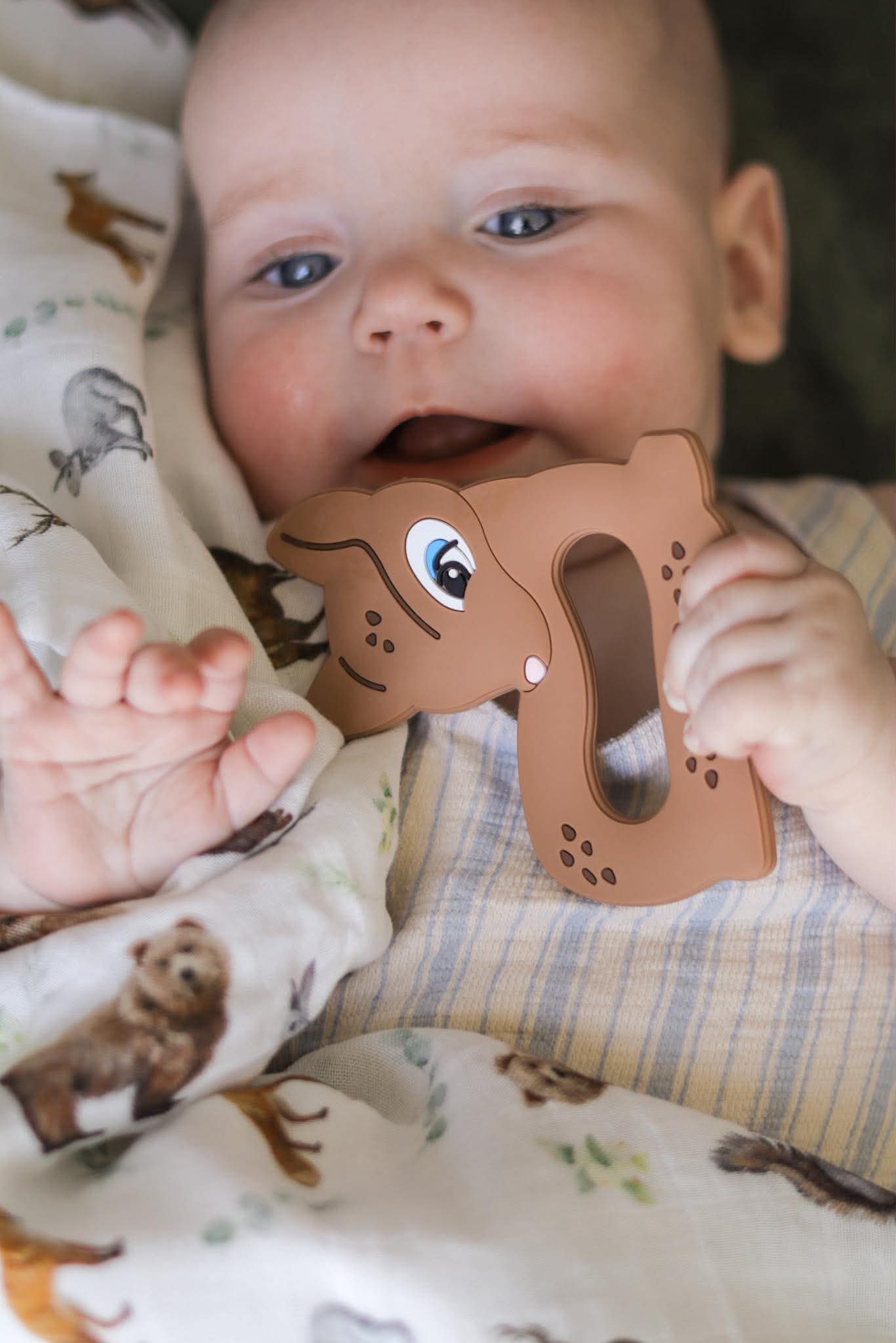 Forest Animals Theme Organic Blanket - Baby Shower Gift