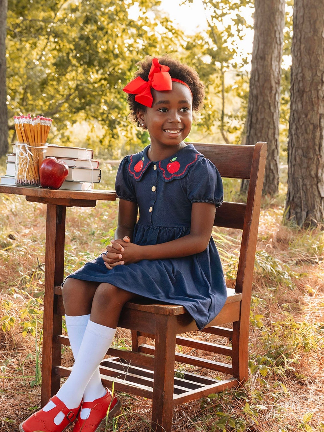 Back To School Apple Applique Girls Dress Petals Collar