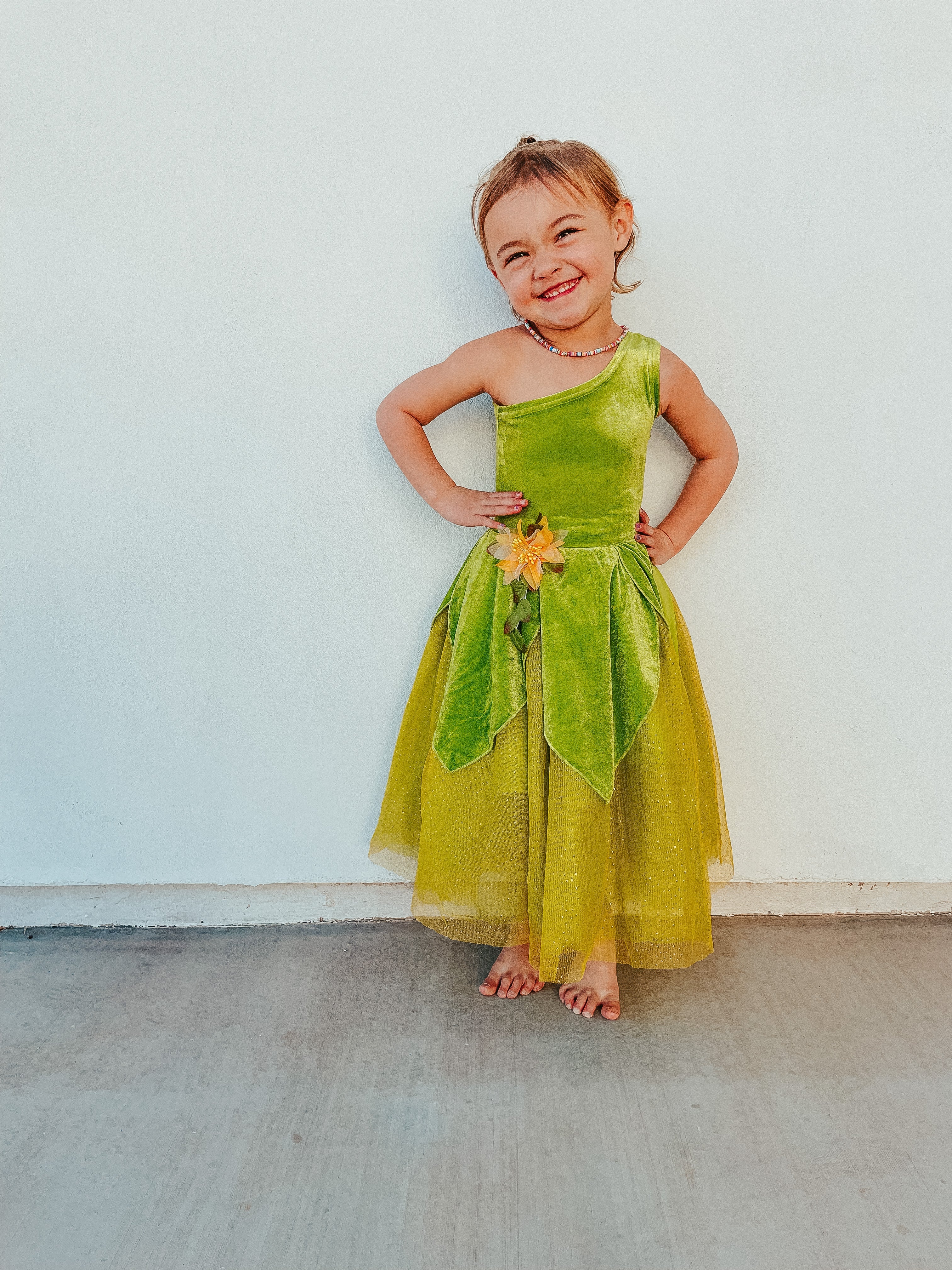 The Frog Princess Or Tinker Fairy Duo Costume Dress