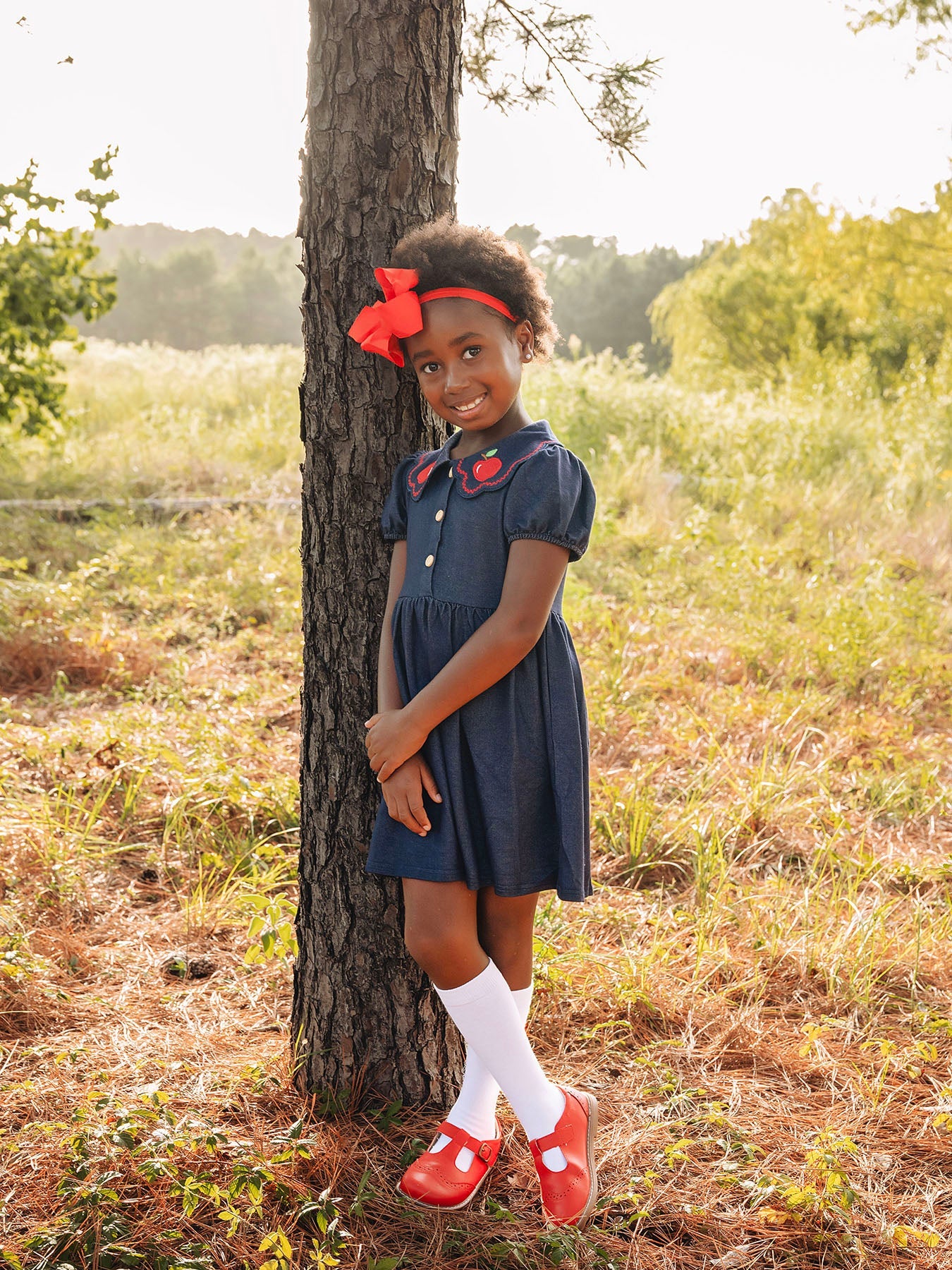 Back To School Apple Applique Girls Dress Petals Collar
