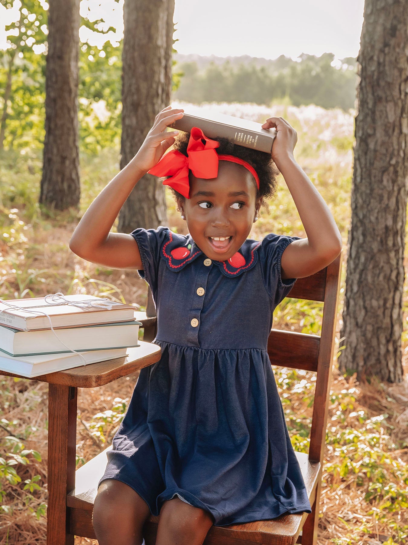 Back To School Apple Applique Girls Dress Petals Collar