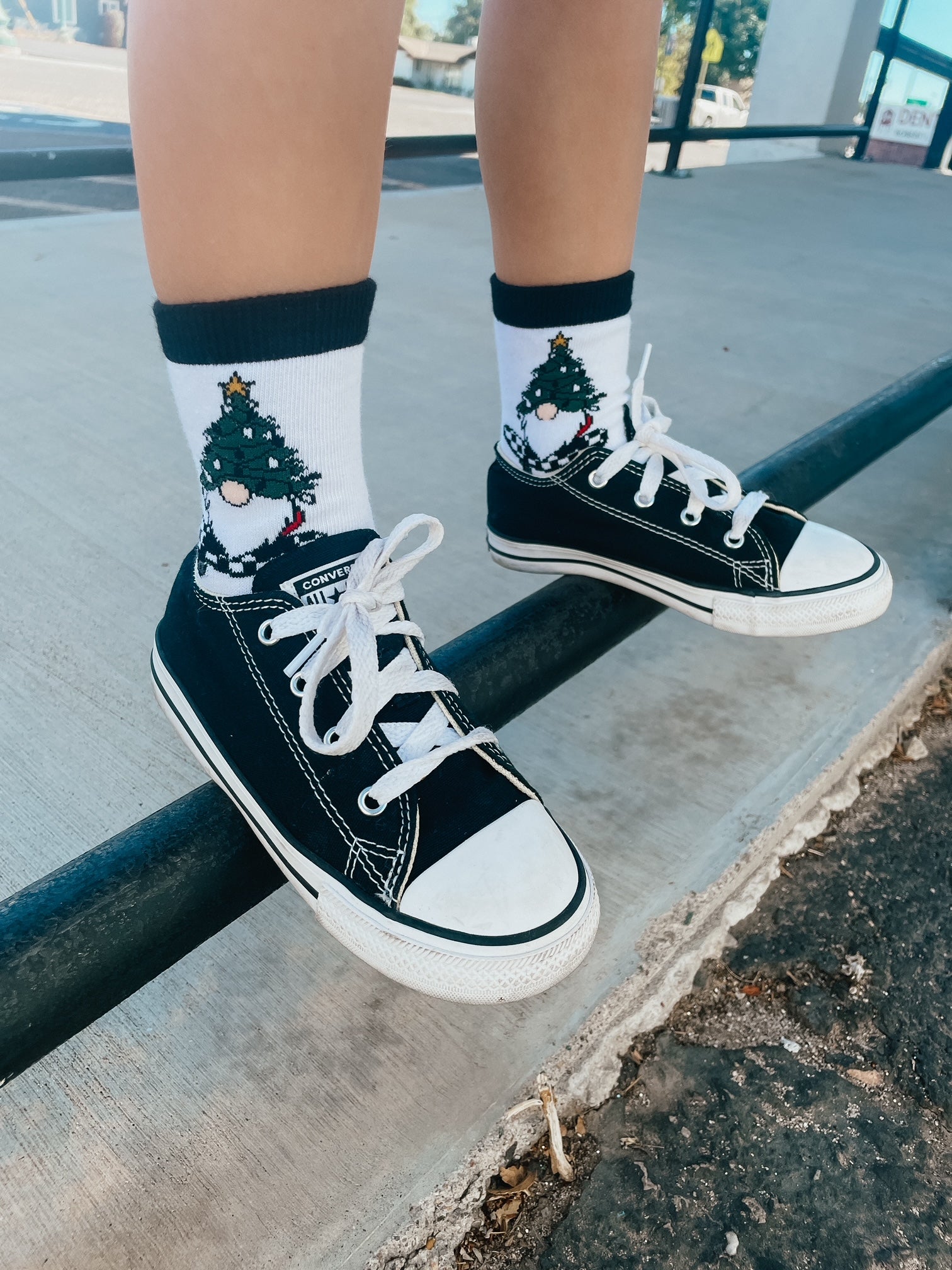 Gnome For The Holidays