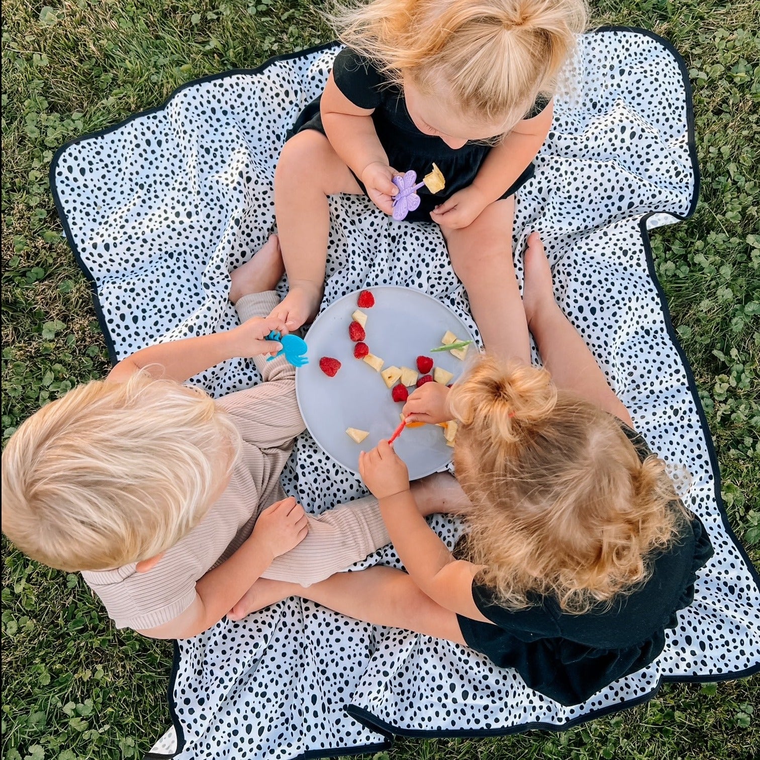 Organic Dot Splash Mat - A Waterproof Catch-all For Highchair Spills And More!