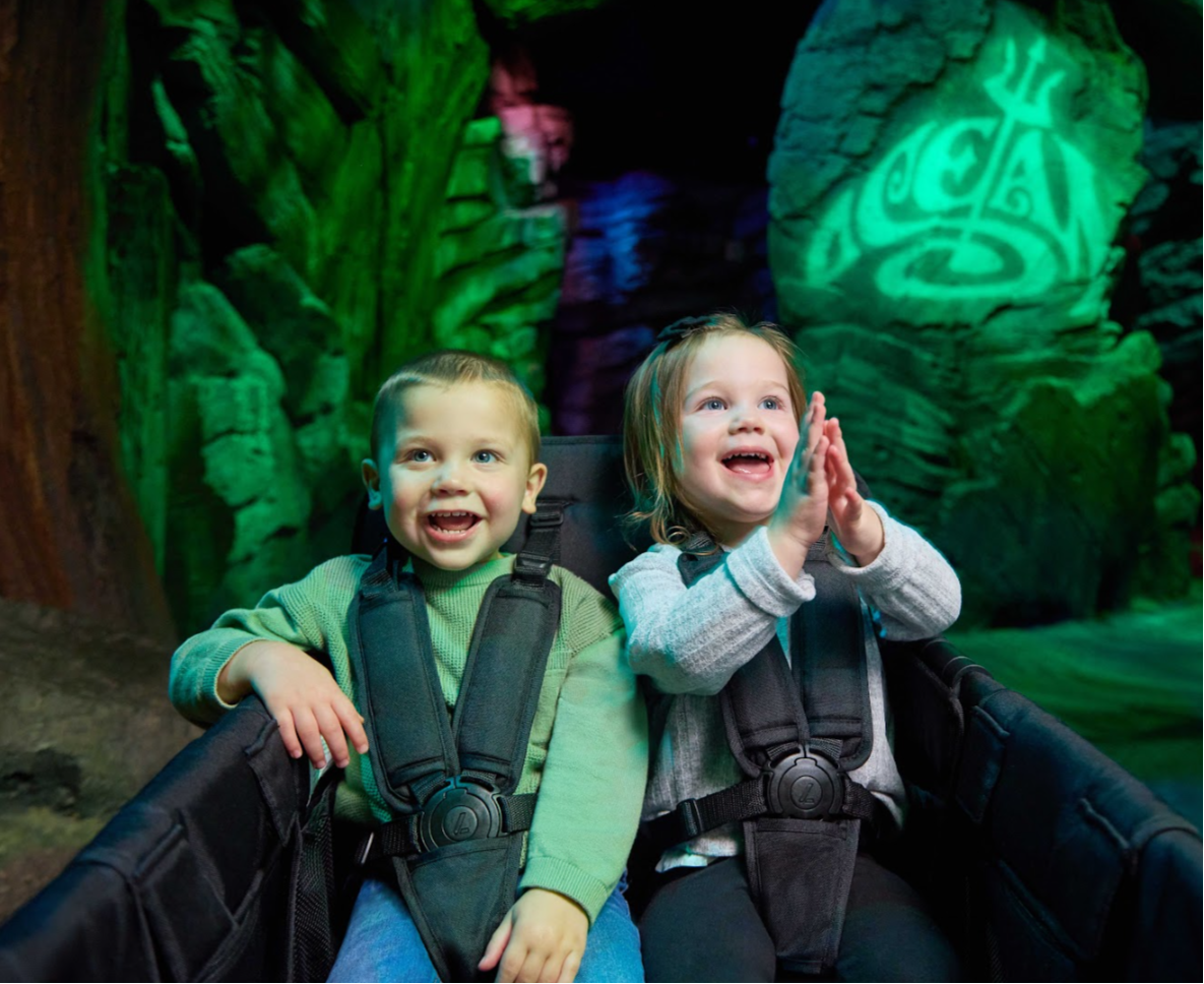 W4 Luxe Pro Stroller Wagon (4 Seater)