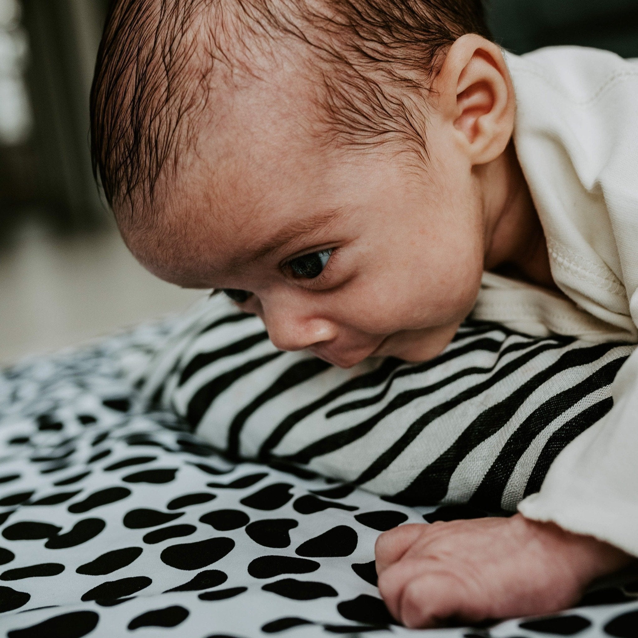 Animal Print Playmat- Reversible Newborn To 4 Months / 5+ Months