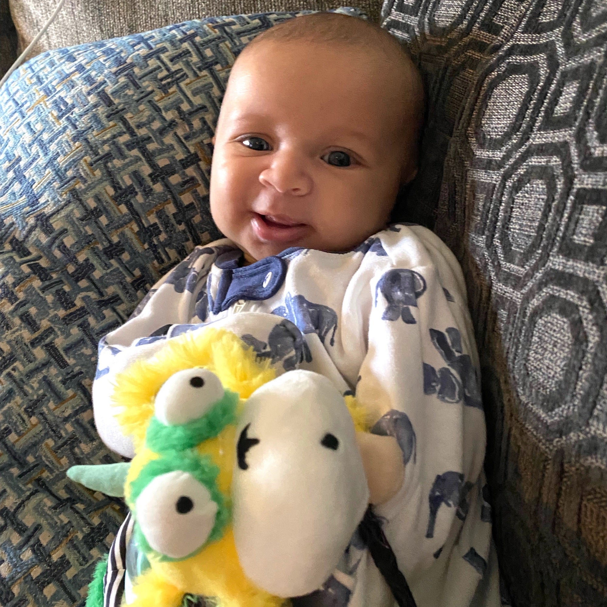 Marley Activity Toy Bundle