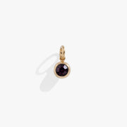 February Birthstone Interchangeable Charm