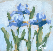 Iris's 3 Print