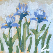 Iris's 4 Print