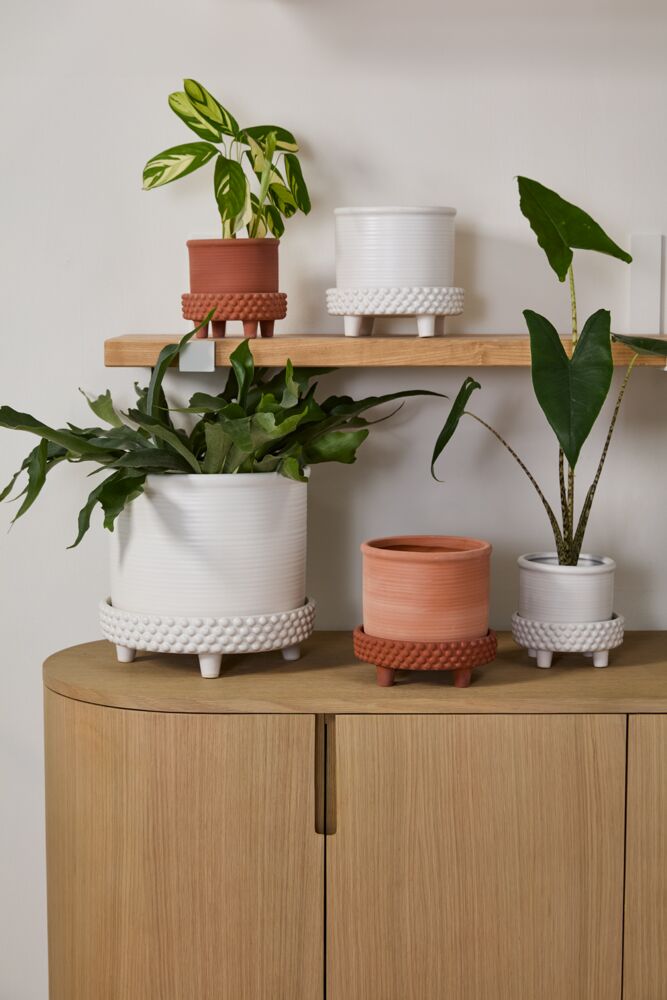 Jane Footed Pot With Saucer