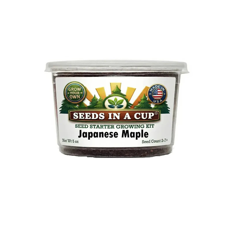 Original Tree Grow Kit