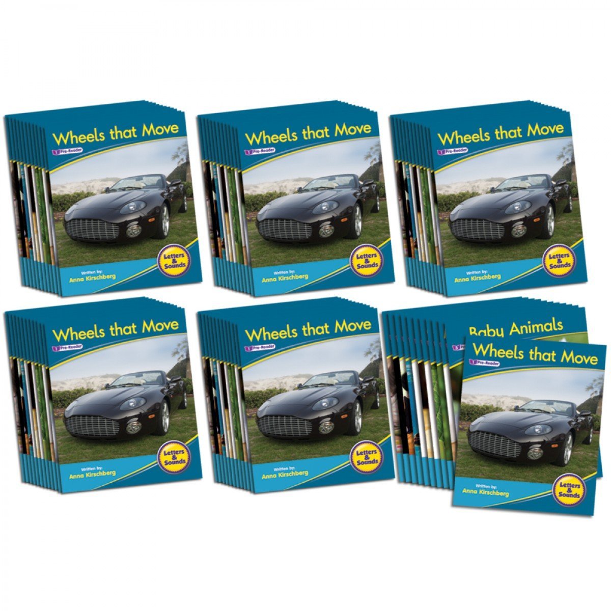 Letters & Sounds Phase 1 Set 1 Non-fiction - 6 Pack