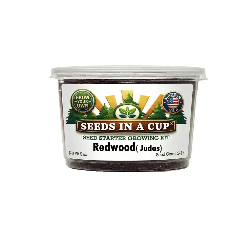 Judas Tree | Seed Starter Grow Kit |