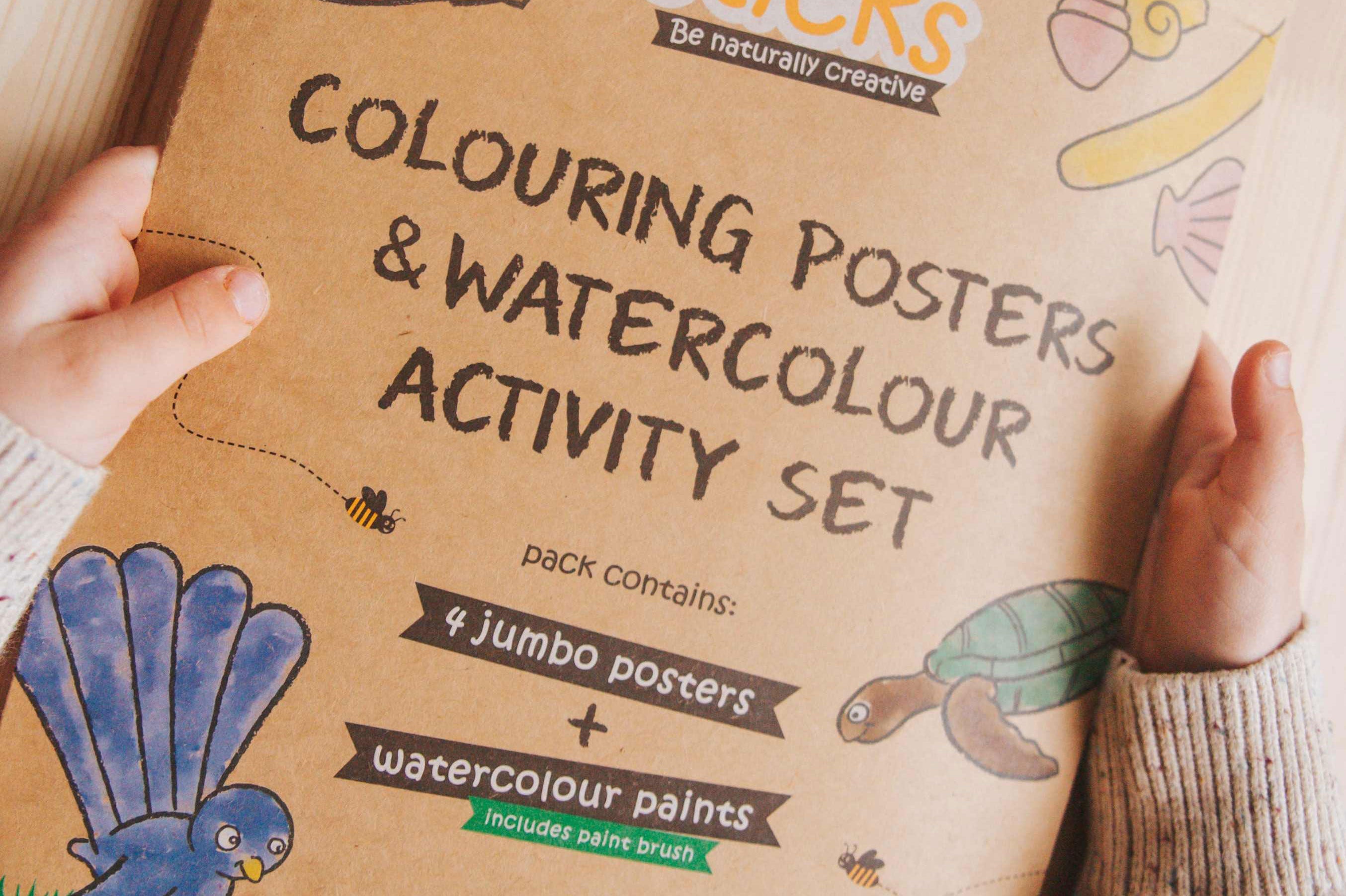 Jumbo Posters And Paints Activity Set