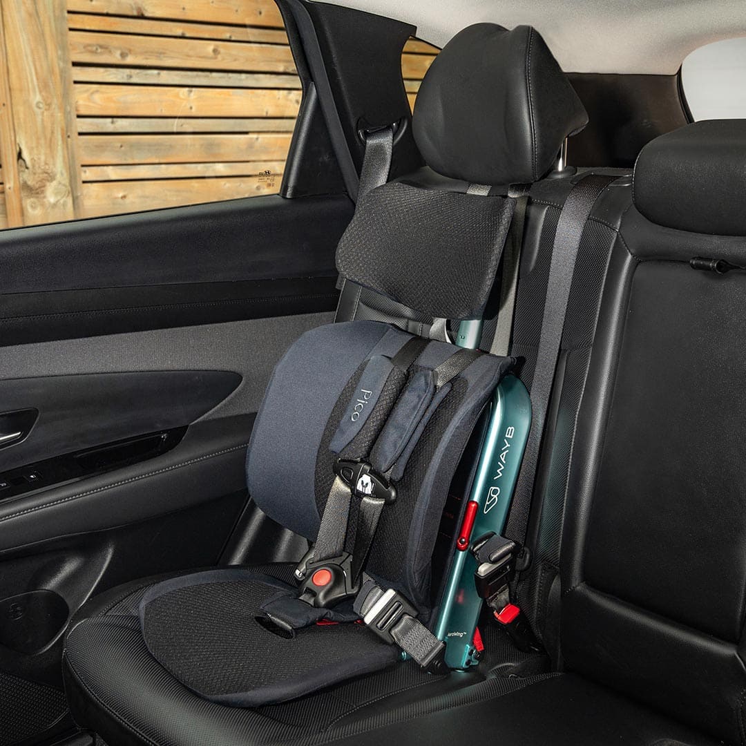 Pico™ Portable Car Seat