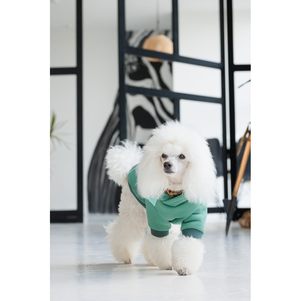 Pet Fashion Woody Hoodie For Dogs