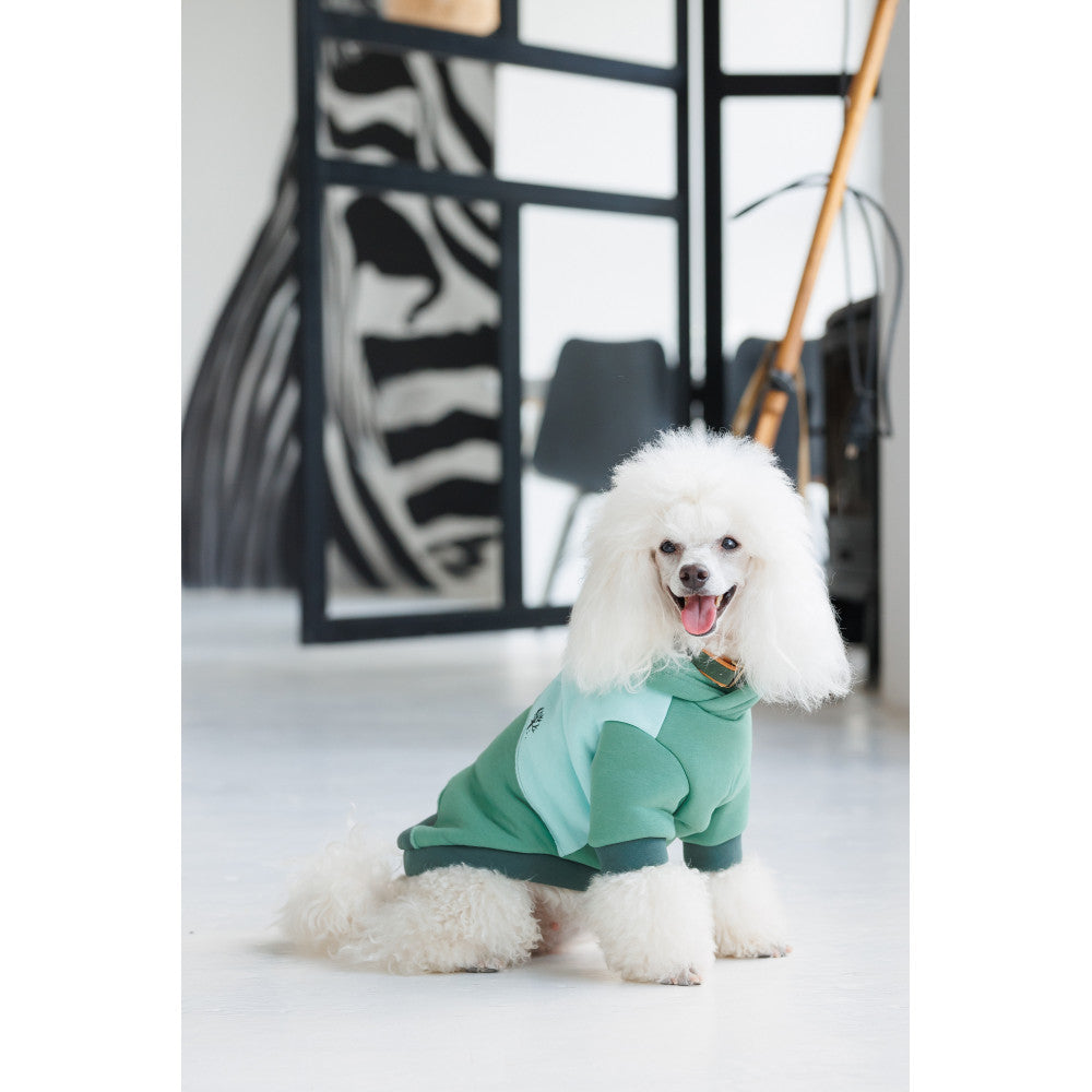 Pet Fashion Woody Hoodie For Dogs
