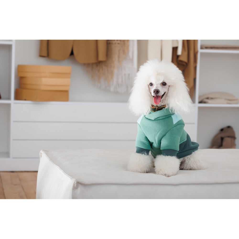 Pet Fashion Woody Hoodie For Dogs