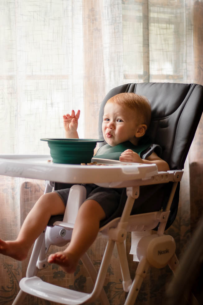 Forest Green Collapsible Bowl For Travel Or Home