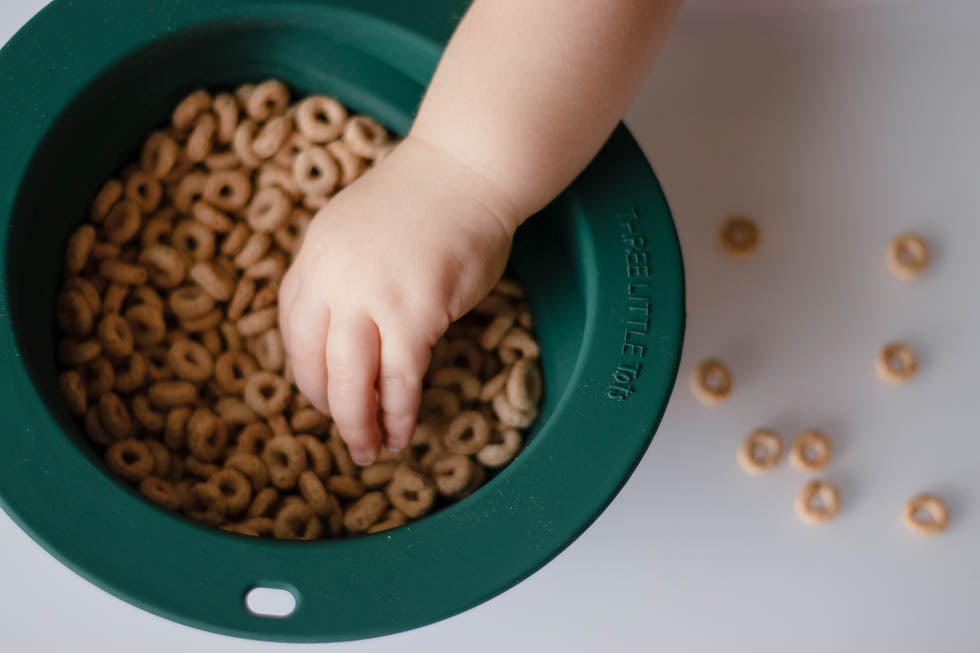 Forest Green Collapsible Bowl For Travel Or Home